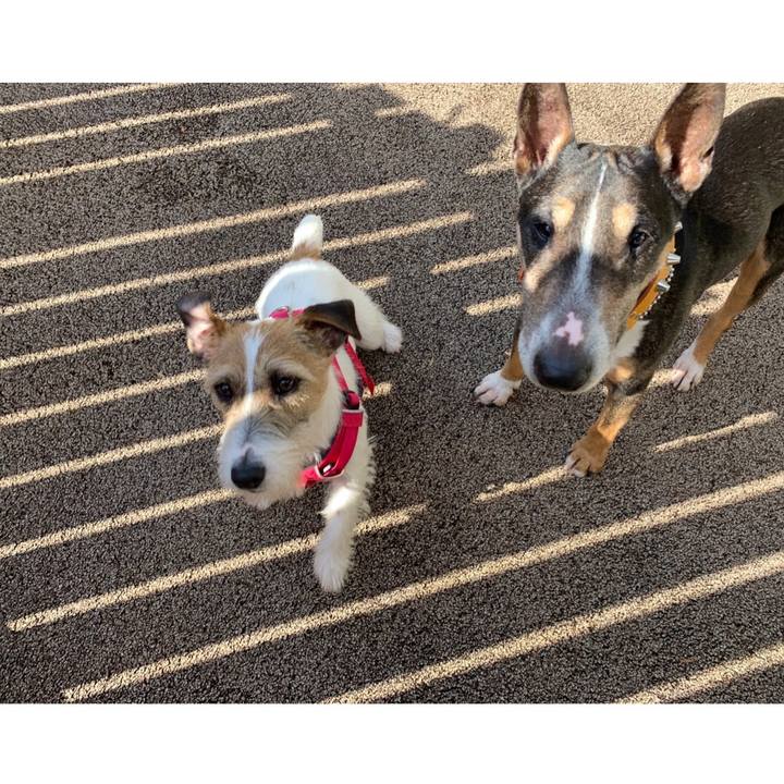 Bacc034d 08b4 40bc b693 30ea1d21fc42 1584252973629