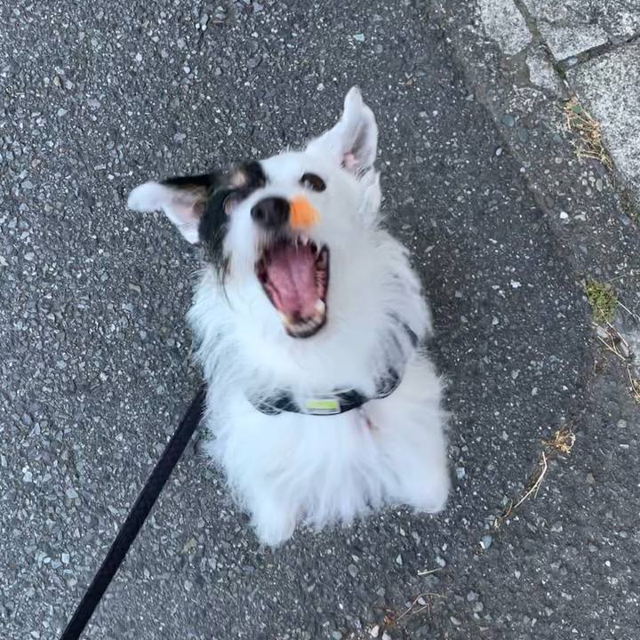 Bacc208b 3c52 4229 8f31 5febde7cd92e 1689460399245