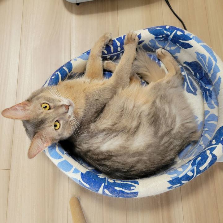 Baccb7c6 19b3 4c4b 8da7 9286a1e5699d 1634601113068