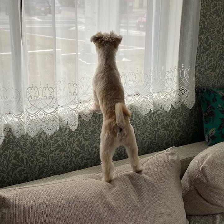 Baccd067 92ab 4e94 8237 93da6268a5b2 1602646734001