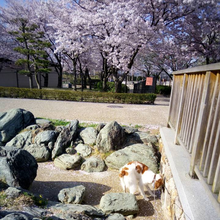 Bacd4ce6 60f6 4482 ad0a 084450e2739f 1522410137162