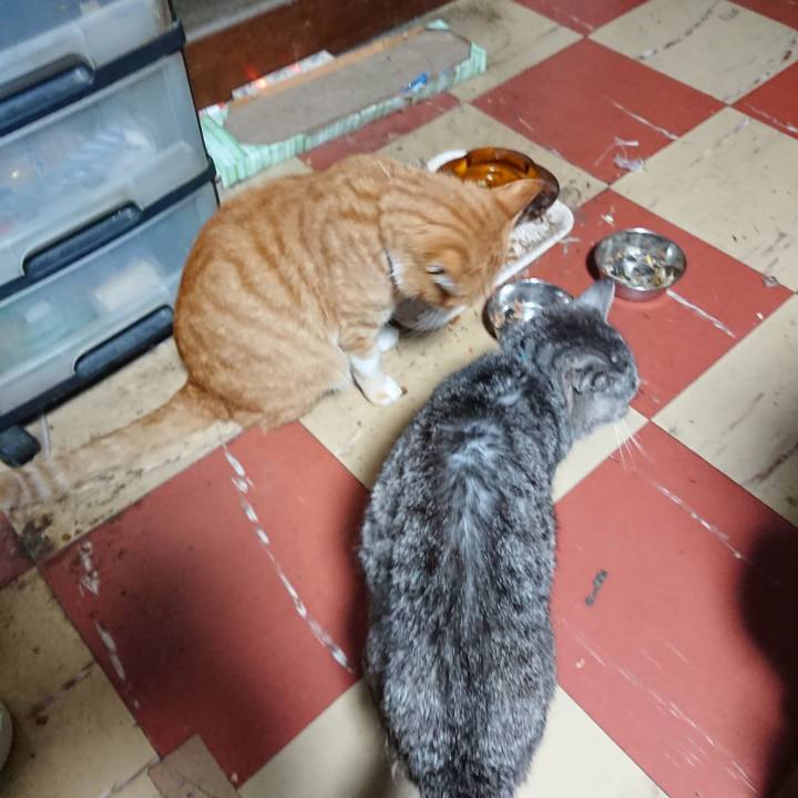 Bacd7646 6208 4094 852e d0847adc5e1d 1572033395817