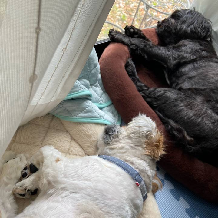 Bacd81bb b16a 4a47 9e0d a827d9bccddb 1655079248124