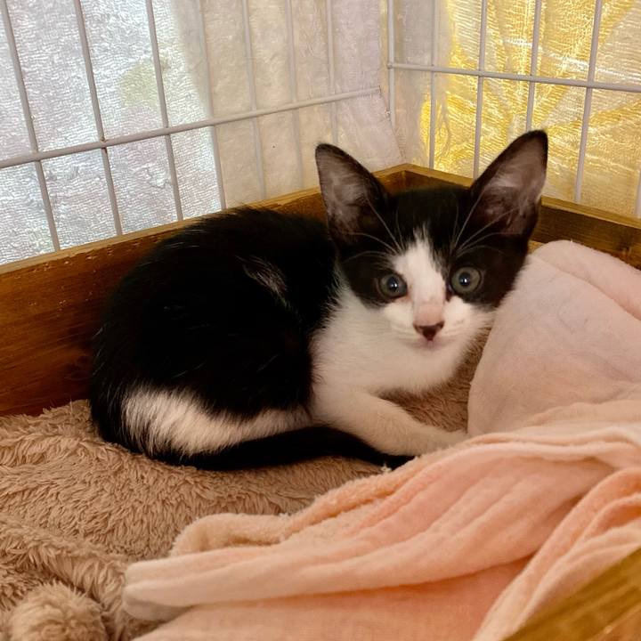 Bacd8533 6e65 4df4 b144 44d36733b719 1624157289893