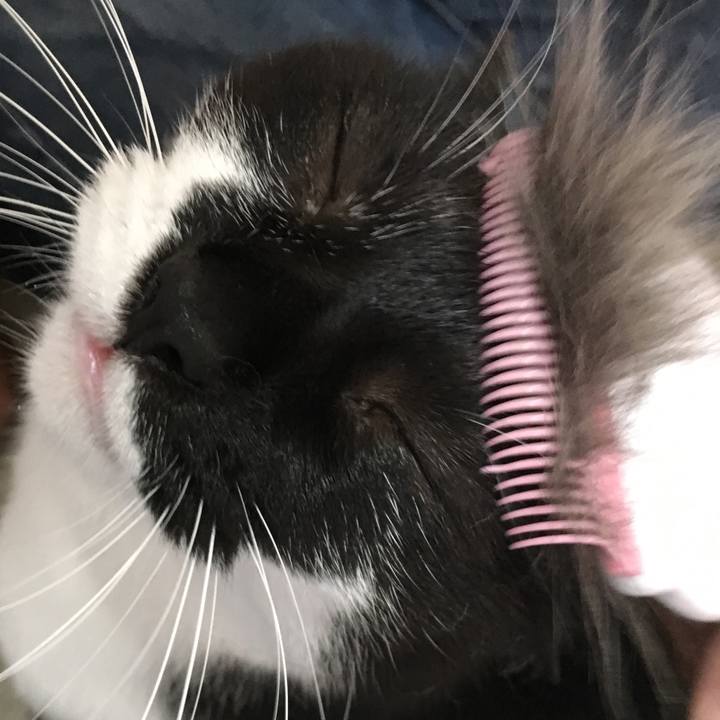 Bacd8775 62e2 4647 b83c ec1beb318441 1530349447299