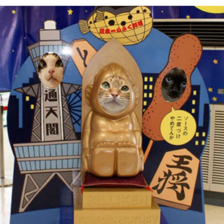 Bacd9168 5eaf 4b01 aeb9 351ccd4ef422 1585175474891