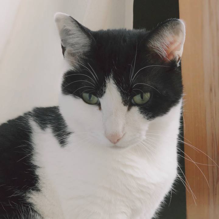 Bacdaa54 e563 4cc8 89c4 277e0ed0486b 1556069941683