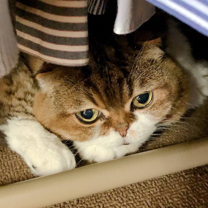 Bacdf21e b0e8 41d0 b39c 37fb1cc41770 1570600948108