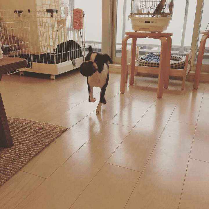 Baceaa68 92fd 420f 97a1 c0f0723a7681 1518489945131