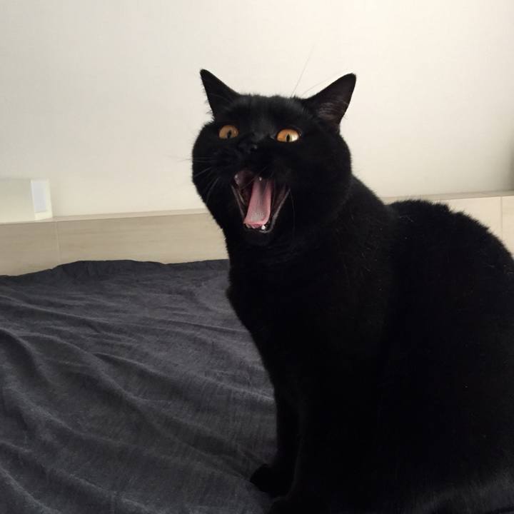 Baceabd7 5926 47e3 aa63 d25f88237144 1526372909316