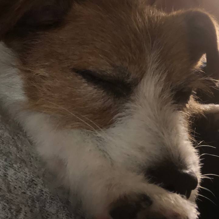 Bacf031e e57a 4445 9f43 9443702592d6 1577712694057