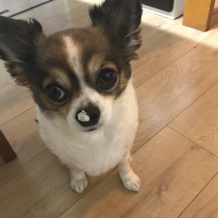 Bacf1371 858e 486b 8684 c49a7993d827 1520769364035