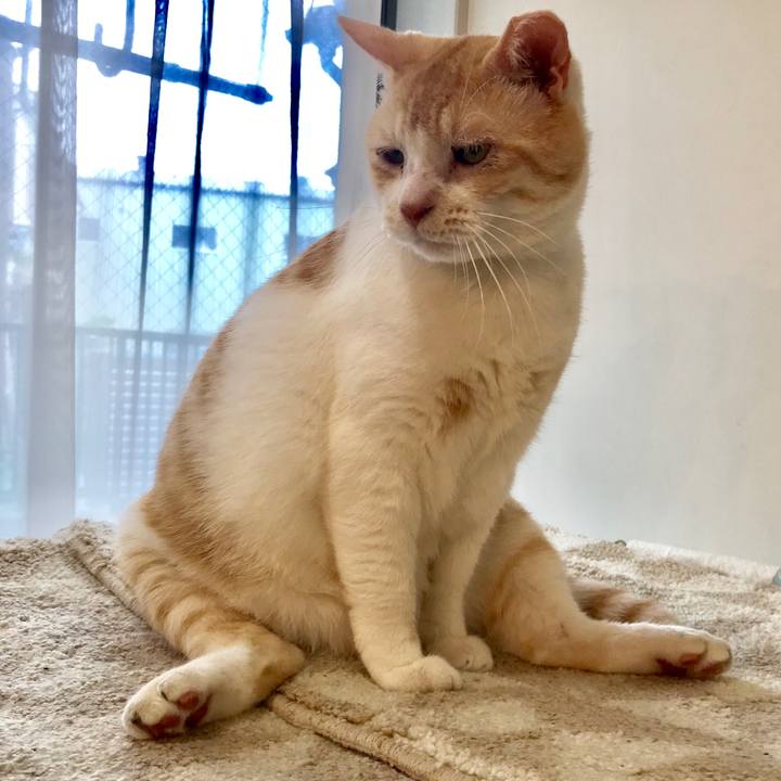 Bacf161a 50c1 4c38 883a c617edc17f6d 1563772623838