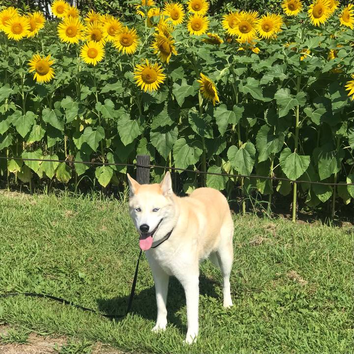 Bacf29a5 18d2 4f19 9b23 8000c22b57f0 1658961663536