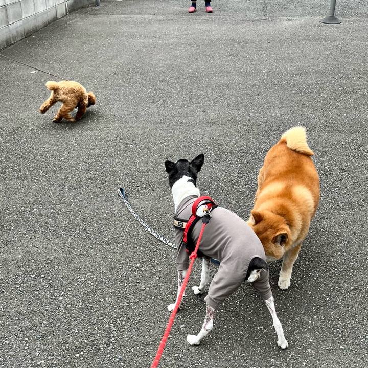 Bacf51eb fcaf 4715 a280 7da9f0473de9 1655509320443