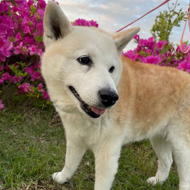 Bacf643a eb2b 4584 8434 208e29d4184a 1651324886633