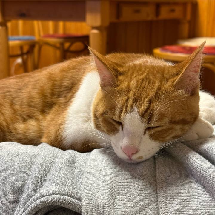 Bacf72c6 6655 4dbb bb02 ce52cf8c1913 1770815278469