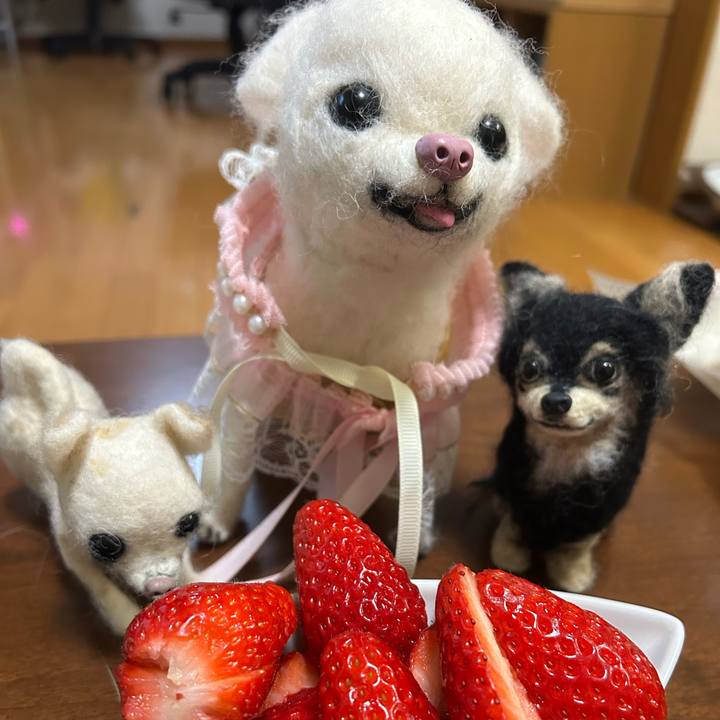 Bacf9080 2962 4a6a 852e ae62ce8ebdf6 1774176877244