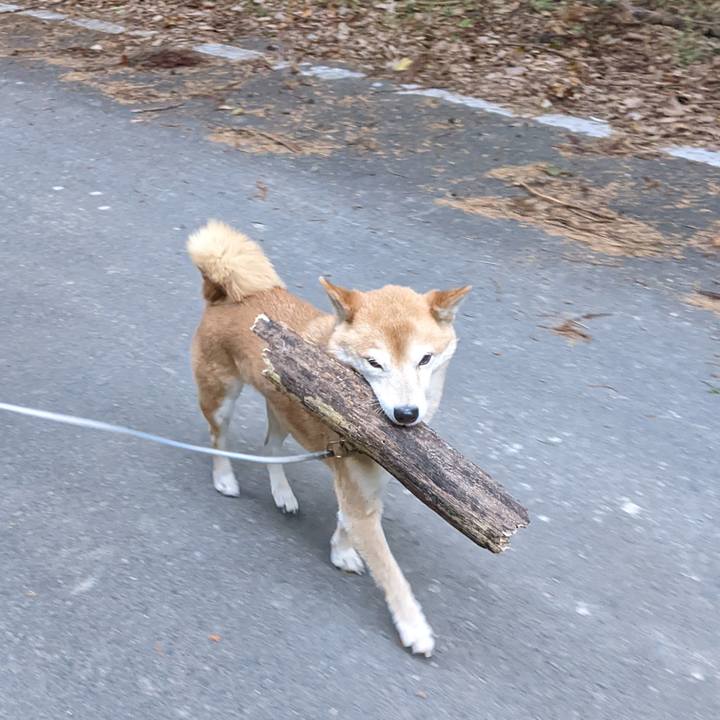 Bacfa4b7 337a 41e3 8075 69b057170416 1670487629150