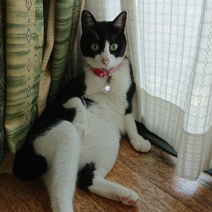 Bacface6 3ad5 480e 9e11 d2953a9fcf0d 1599261320351