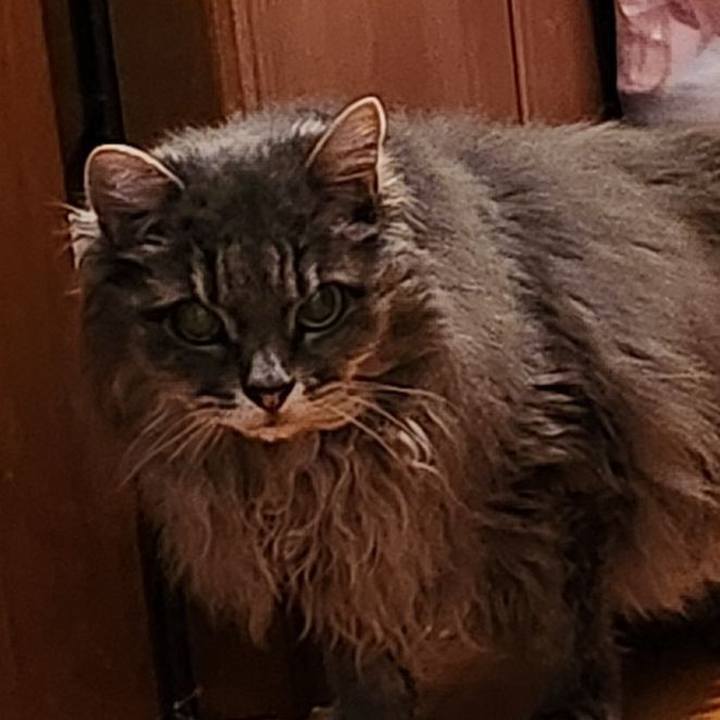 Bad04f17 c914 4ace bddf 33c3c1b833d7 1752318860850