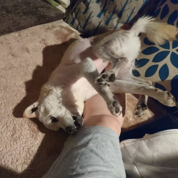 Bad09415 9c6b 4290 b227 5540fd2852c4 1527727116970