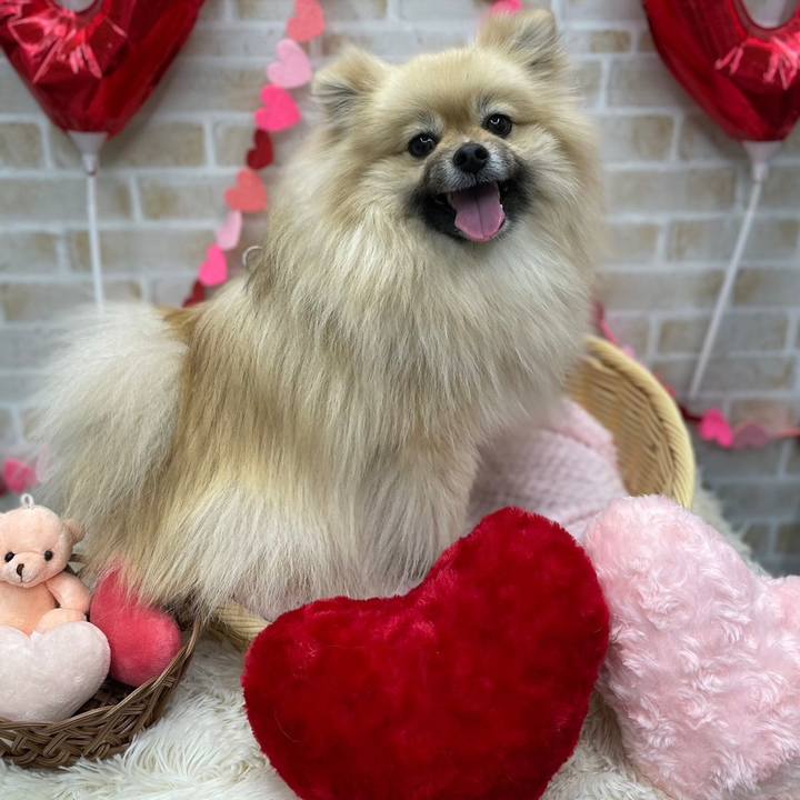 Bad0ee35 1794 4bca bc71 f7629b99591f 1676372348589