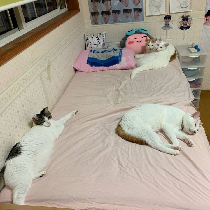 Bad12551 724e 4654 8654 d644c78eb8f3 1568644609118