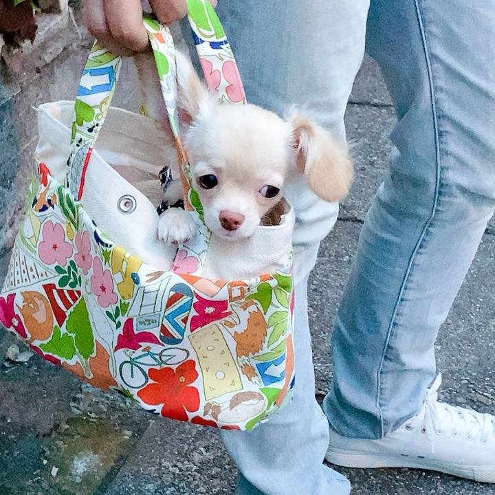 Bad12ad7 570f 4634 8ca7 536b20b10d9c 1593257168560