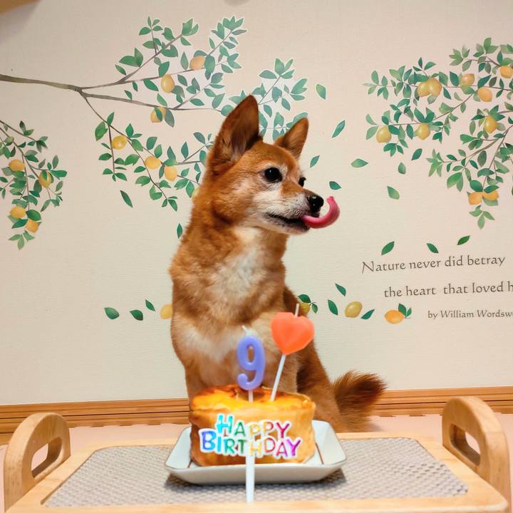 Bad160af 025b 49c4 a8e3 661a76783c70 1696843656152