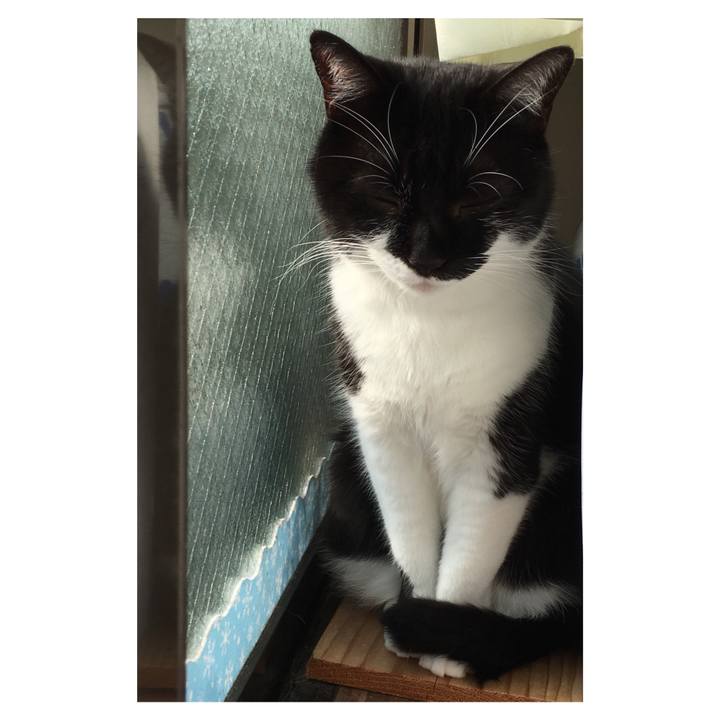 Bad16b38 3862 4f1d af91 0b26cdadfcfe 1547534083493