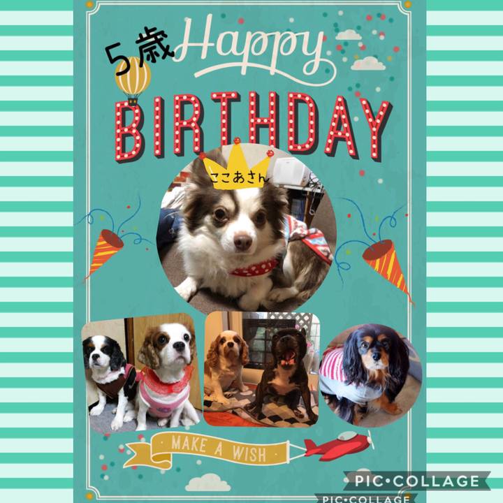 Bad1a9c0 4353 4c5b a3ad e2d3ee71880a 1553343253850