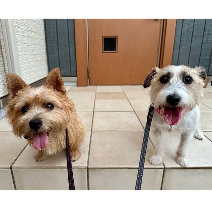 Bad1b466 f849 4682 99db 14af503a3f02 1755180562509