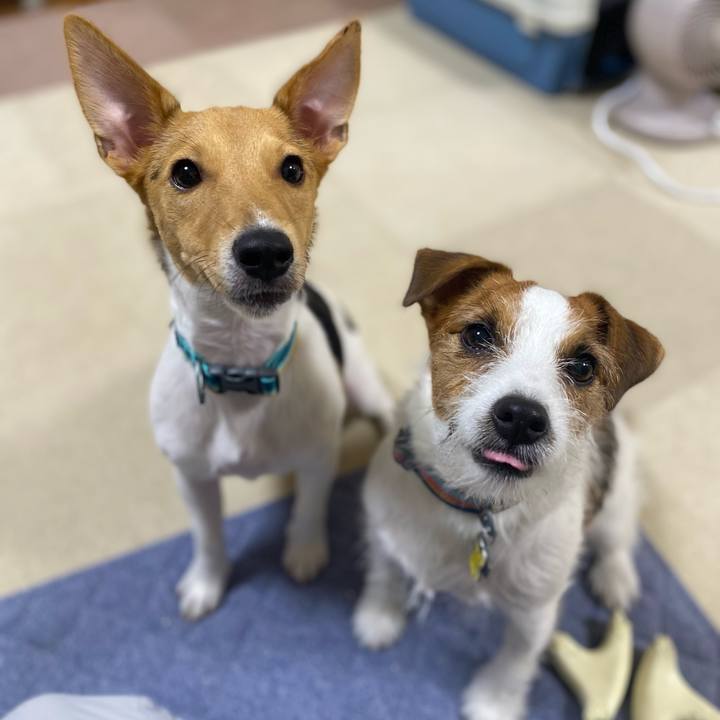 Bad1d74a ac3b 4732 8ac0 13e55cf7d240 1759061117506