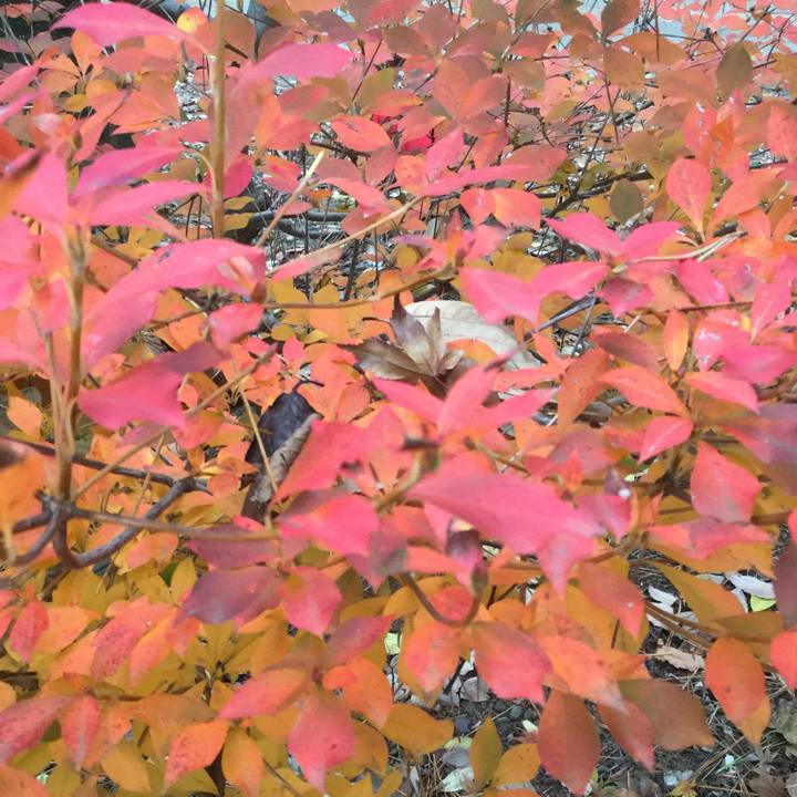 Bad1e238 955a 406c 897e 1362b07fd0e0 1576216768625