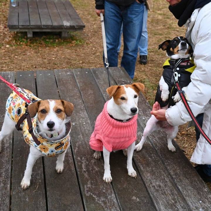 Bad1e78c b6a6 4f9a 8d0c e6a3d6fbfbd9 1735998890995