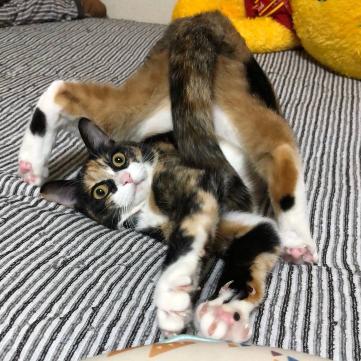 Bad1f87b e5b1 430b bcaa 5433200fe1f1 1559824450142