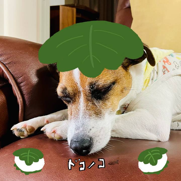 Bad1ff98 6a03 45fa acd6 88b7c3794871 1749532691944