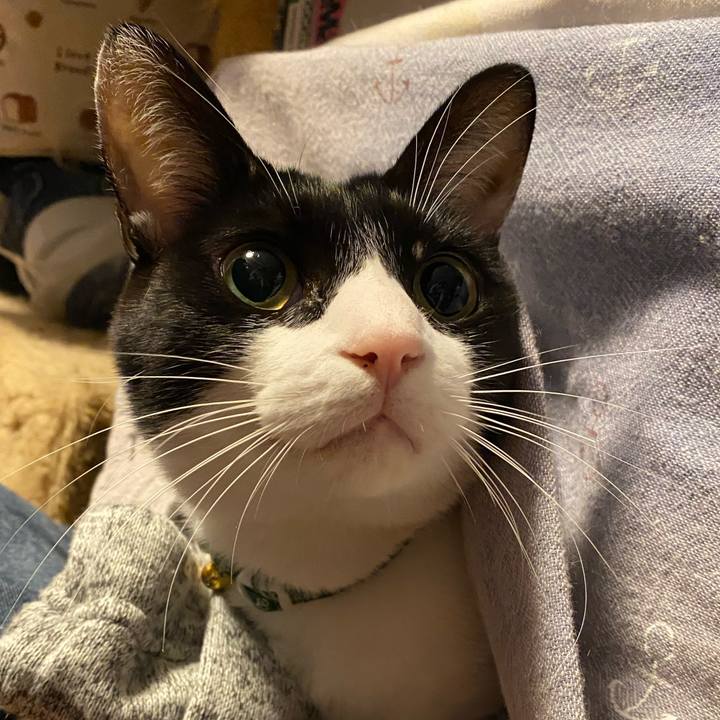 Bad247c0 f9cc 4c48 a671 db5901197cd5 1766446394284