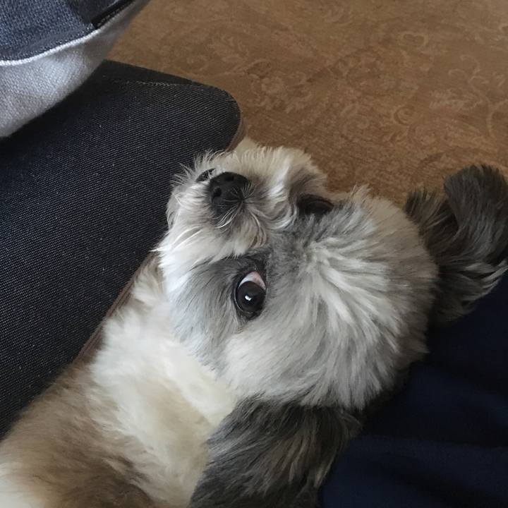 Bad26a7a f1ca 4091 9d35 f80f7b922c31 1536282777822