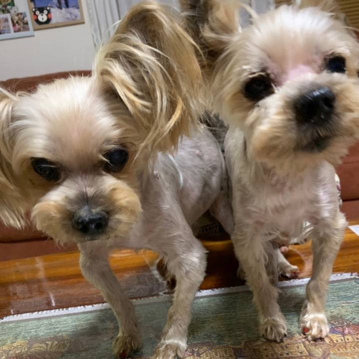 Bad26bb2 3976 4826 a09f aaca99b5ef2d 1675937794332