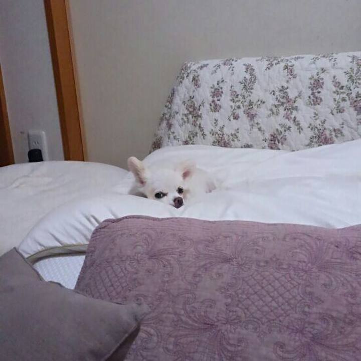 Bad27a59 13e9 4297 b589 a98514d2134e 1569191235480