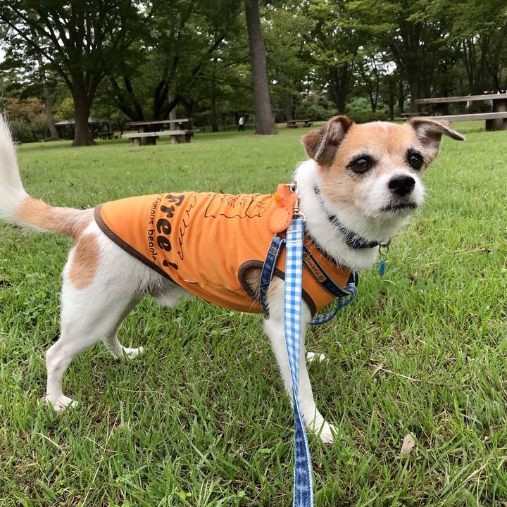 Bad295b8 9f86 48cd 9ff4 12a97aec9eda 1601178044606