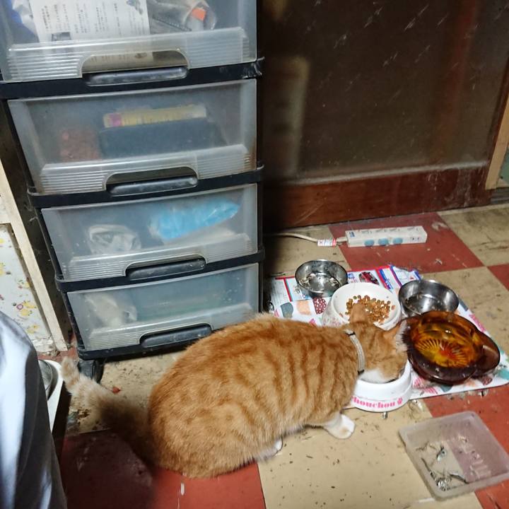 Bad2b0f1 3348 4cf0 8aa4 010c4c219d85 1595966517875