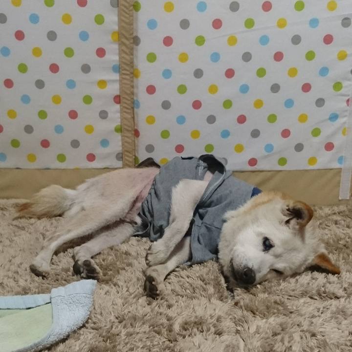 Bad2b29b 39e9 425c 97e4 4cff51668488 1555758246566