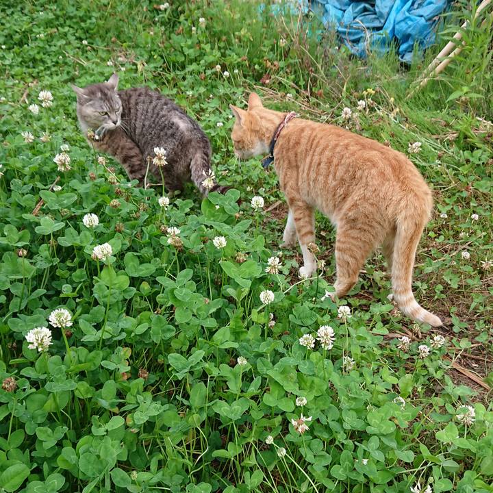 Bad2bc3c 66b4 4fae ac11 264bacc86762 1563224213090