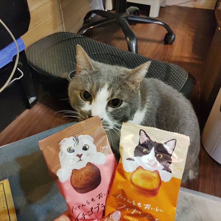 Bad2e991 3dfc 474d b902 adb0783af936 1710253888736