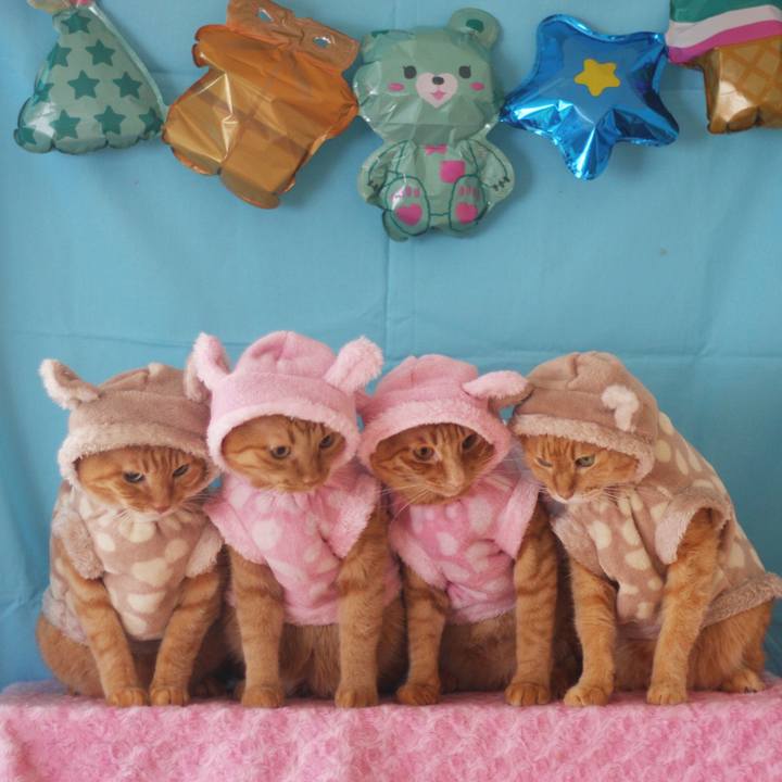 Bad3223a 8bd9 421c 97f4 27c570b60075 1715480841915