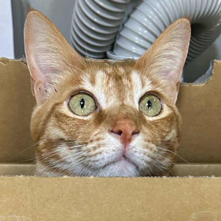 Bad359ad f3df 42ed 9bbb cba1d9a37bc5 1680337361082