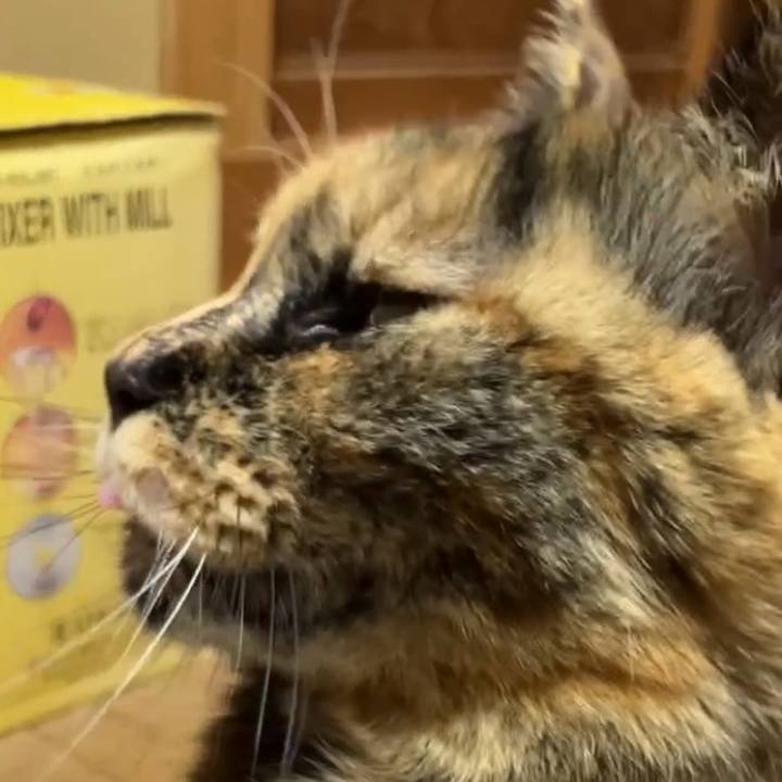 Bad36e99 dd43 44bc 8e15 d6a9e33135e7 1739218580020